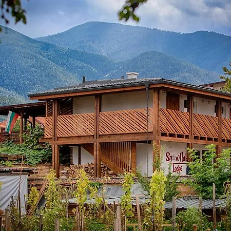 Къщи За Гости Сноуфлейк Snowflake Chalet And Snowflake Lodge Bansko Zewnętrze zdjęcie